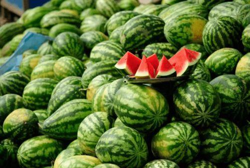 吃瓜所有网红,揭秘网络红人的幕后生活  第3张